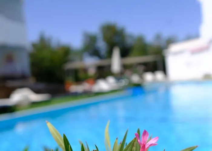 Viking Club Hotel Sharm El-Sheikh
