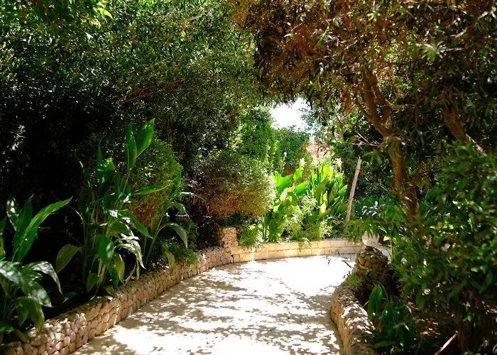 Viking Club Otel Şarm El-Şeyh